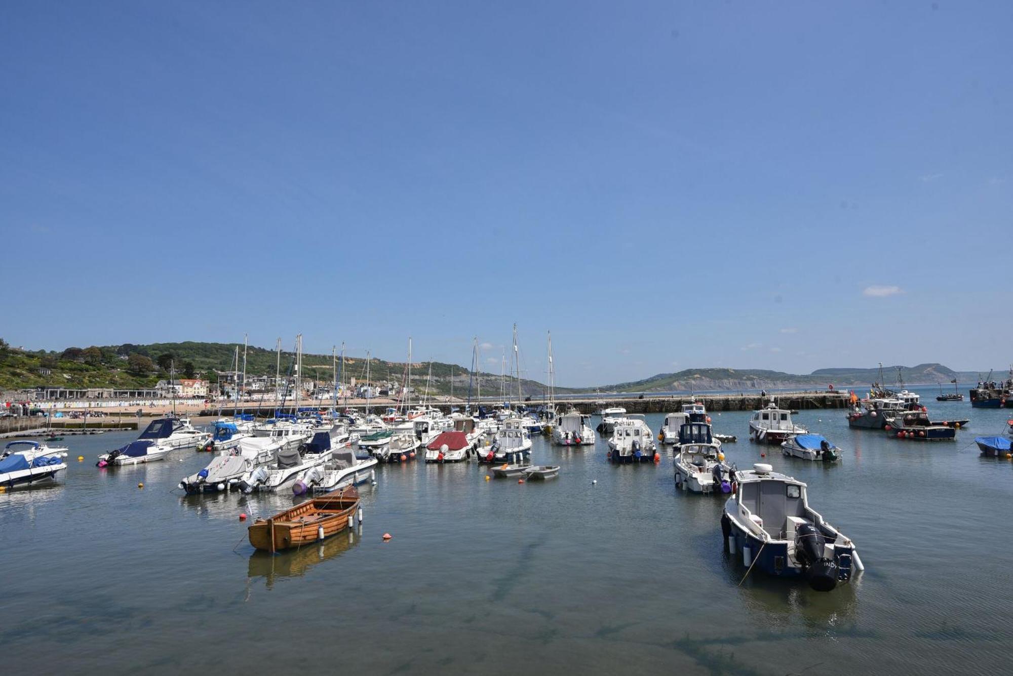 Lyme Views Apartment Lyme Regis Ngoại thất bức ảnh