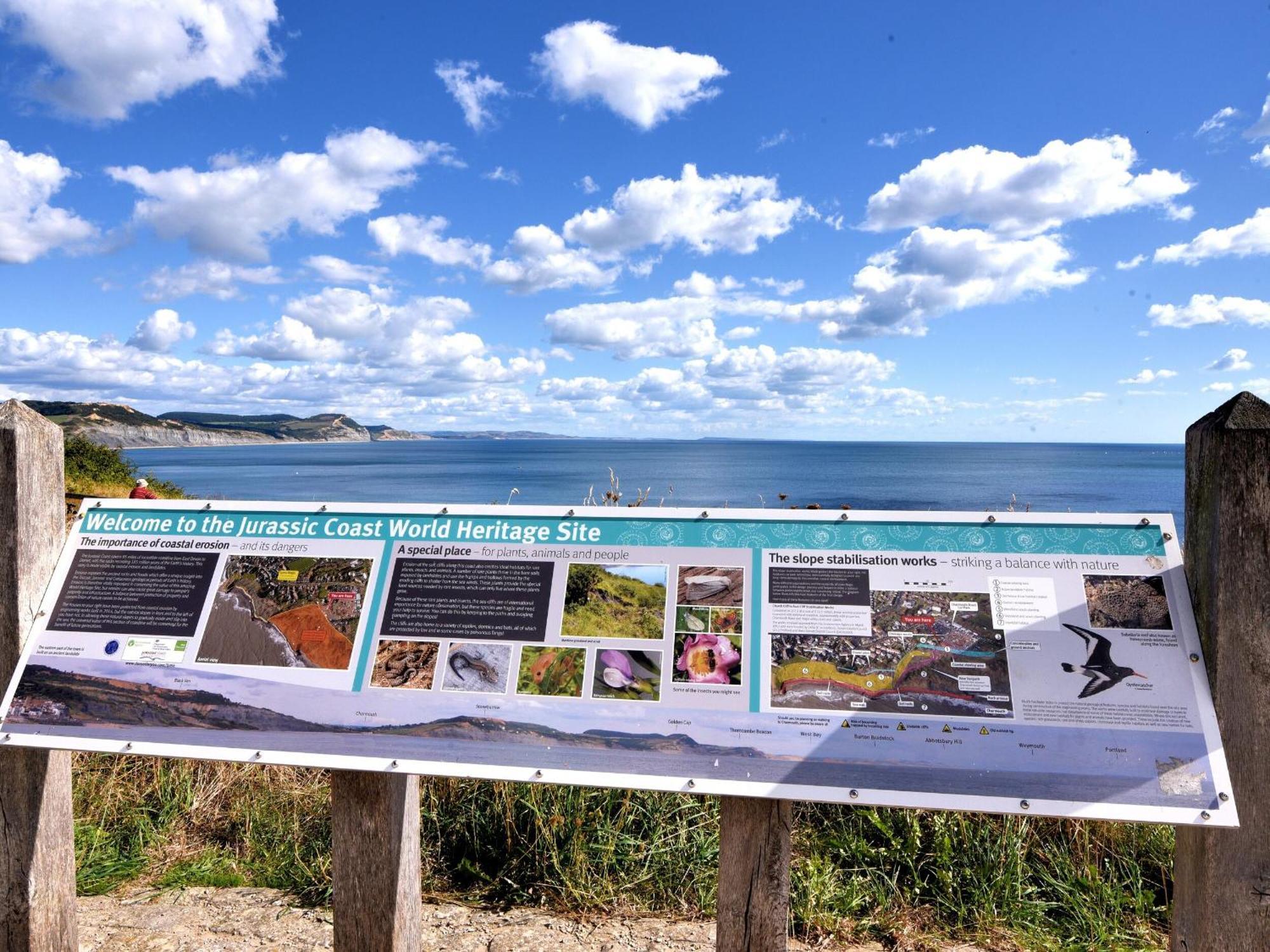Lyme Views Apartment Lyme Regis Ngoại thất bức ảnh